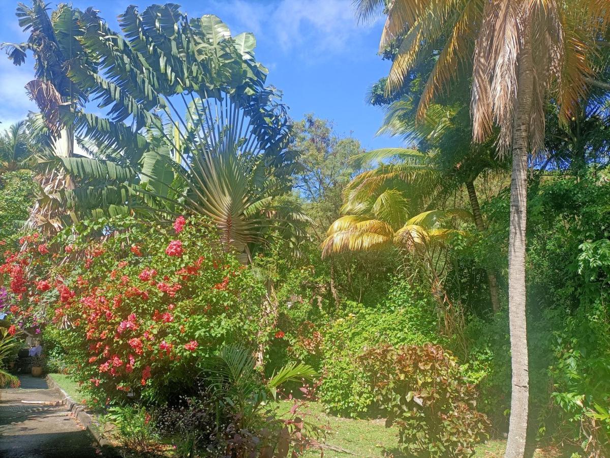 Villa Le Colibri Ble Sainte-Anne Exterior foto