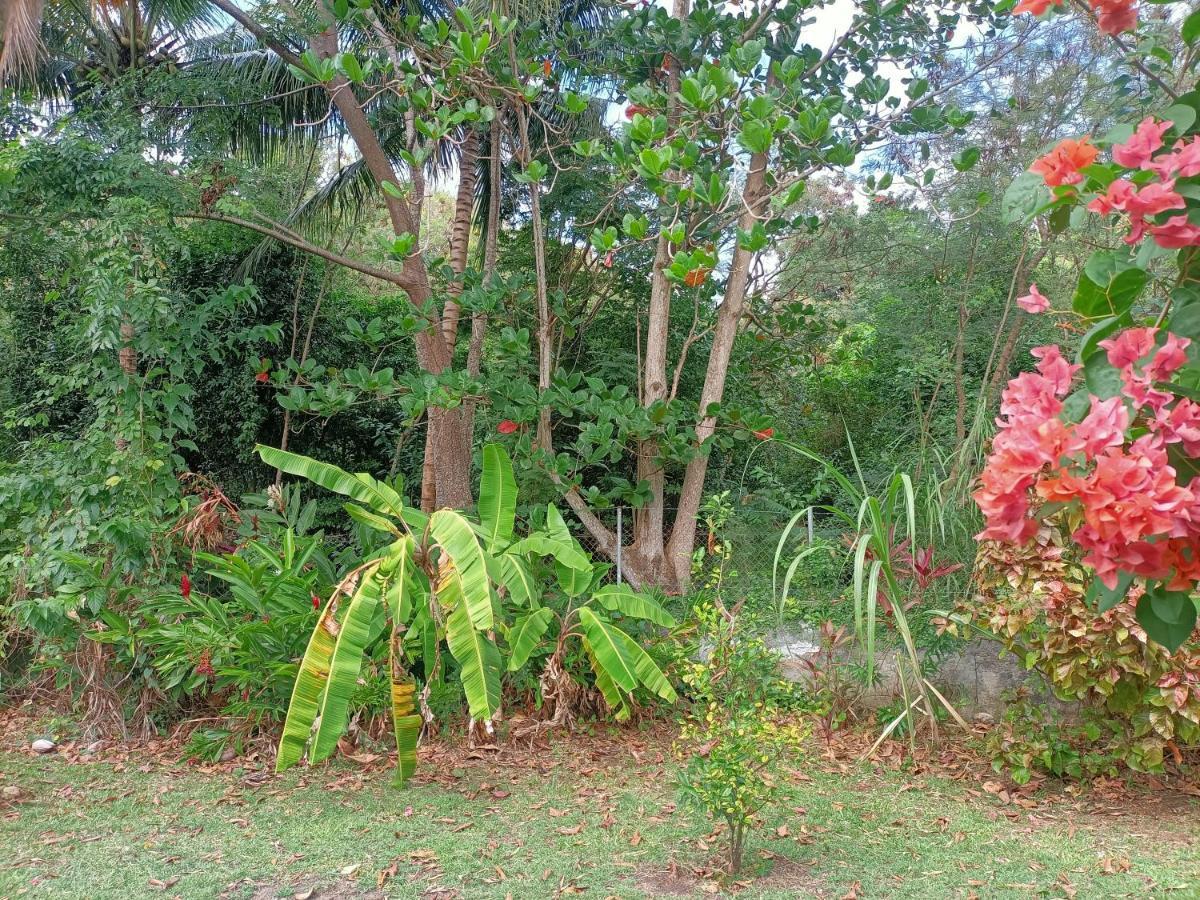 Villa Le Colibri Ble Sainte-Anne Exterior foto