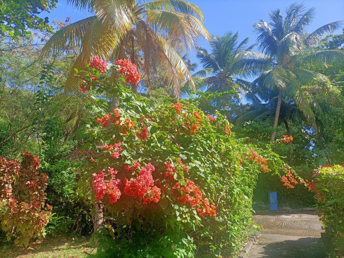 Villa Le Colibri Ble Sainte-Anne Exterior foto
